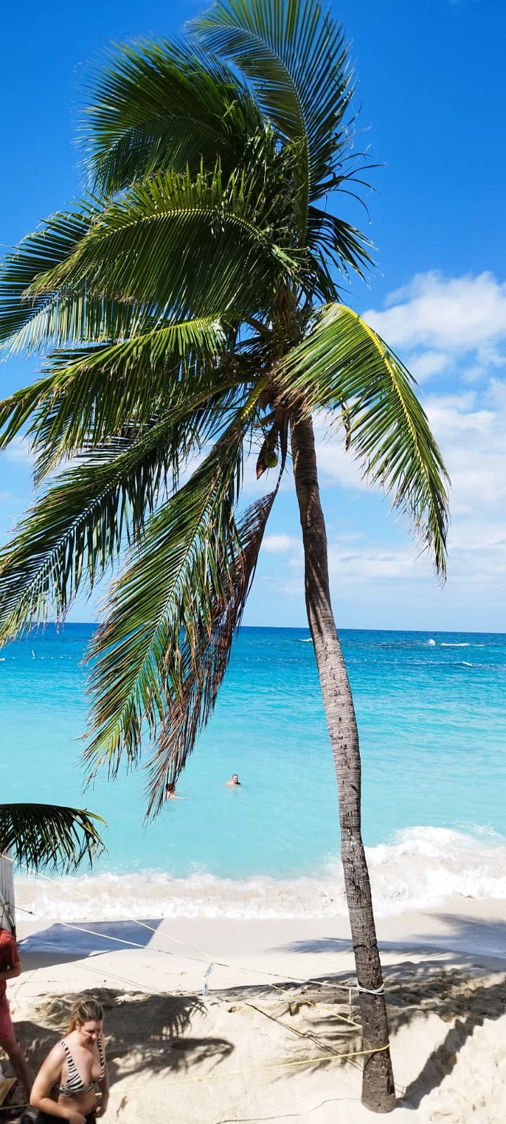 JAMAICA CON LA CASA DEL REGGAE 2027